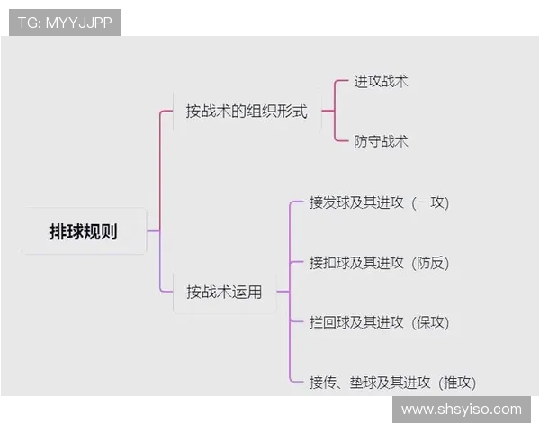 成都排球队的盯防策略解析与排球战术深度剖析