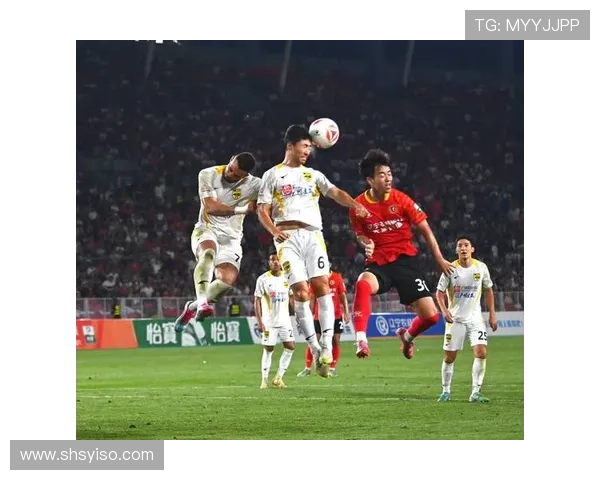 欧洲足球明星在中国甲级联赛的表现与排名分析